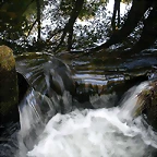 DSCN2444