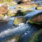 DSCN7841