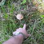 DSCN2393