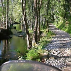 DSCN2468