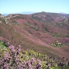 DSCF2574