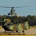 sh3ychinook