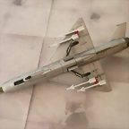 P1110291