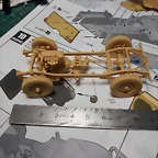 DSCN6585