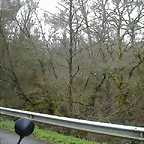 DSCN5632