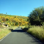 DSCN2071