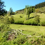 DSCN0081