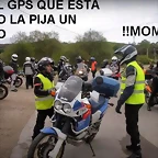La pija un mono