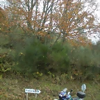 DSCN0976