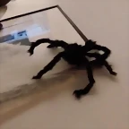 Video Mar?a IG Stories 31-10-2018 (2)