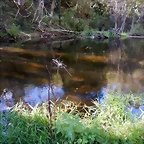 DSCN9125