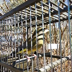 IMG_20191006_122826