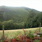 DSCN8376