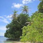 IMG_0127 (2)