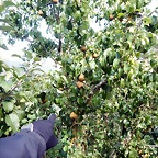 DSCN7024