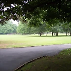 100_0398
