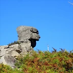 IMG_8537