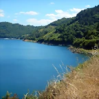 DSCN4139