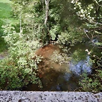 DSCN9655