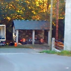 DSCN0813