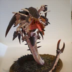 Mawloc Tirnido (11)