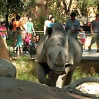 Zoo de Barcelona 17-08-11 335