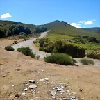 DSCN4604