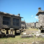 DSCN7868