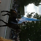 P1140312 (Small)
