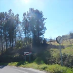 DSCN2663