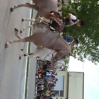 P1140317 (Small)