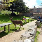 DSCN0617