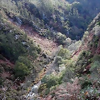 DSCN9201