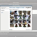 fotos2