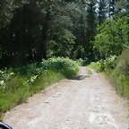 DSCN2130