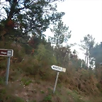 DSCN9428