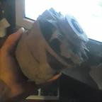 CAM01010