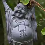Buda feliz
