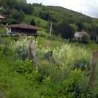 DSCN4537