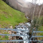 DSCN9176.JPEG