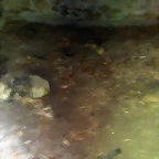 DSCN2117