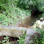 DSCN4543