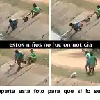 Salvar un animal