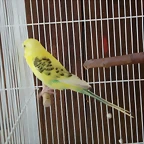 IMG_20170310_001206_579