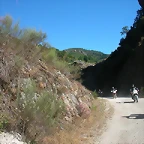 Sena 099