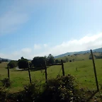 DSCN0524