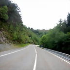 DSCN6505