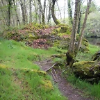 DSCN4155