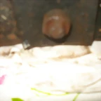 DSC04632