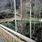 DSCN9678